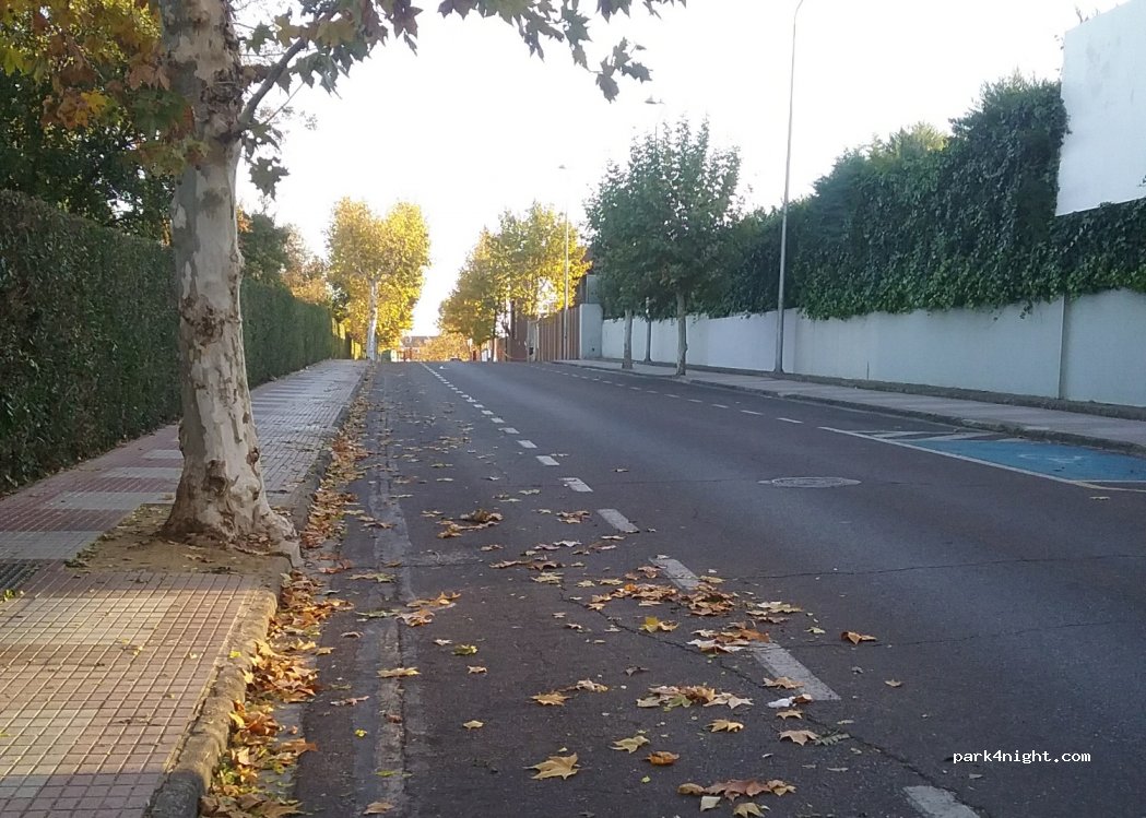 (06800) Mérida - 2A Avenida Estudiante — foto 2