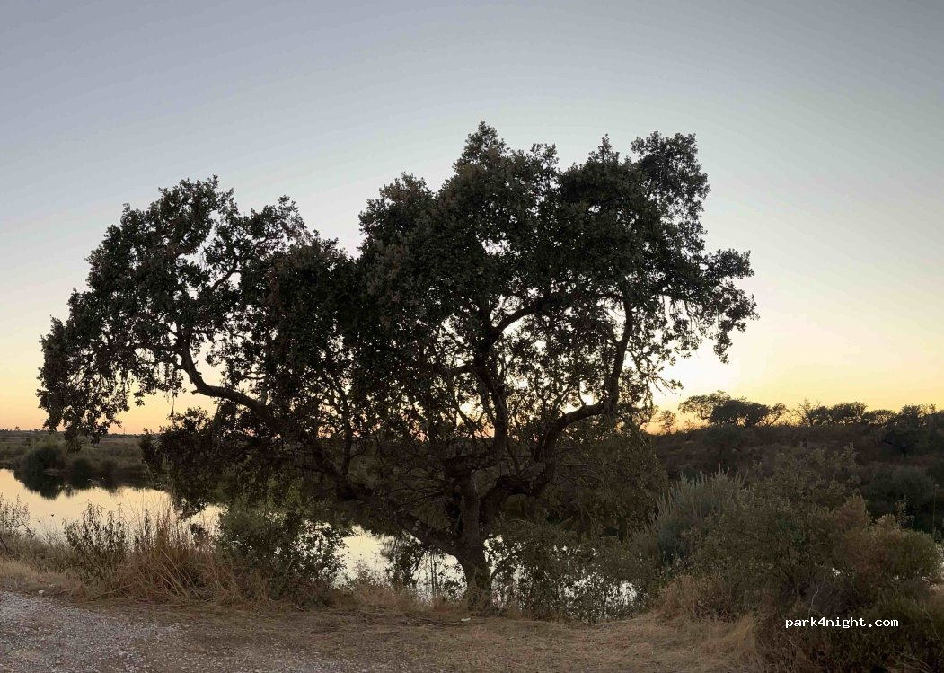 (7220) Monte do Trigo - Unnamed Road — foto 4