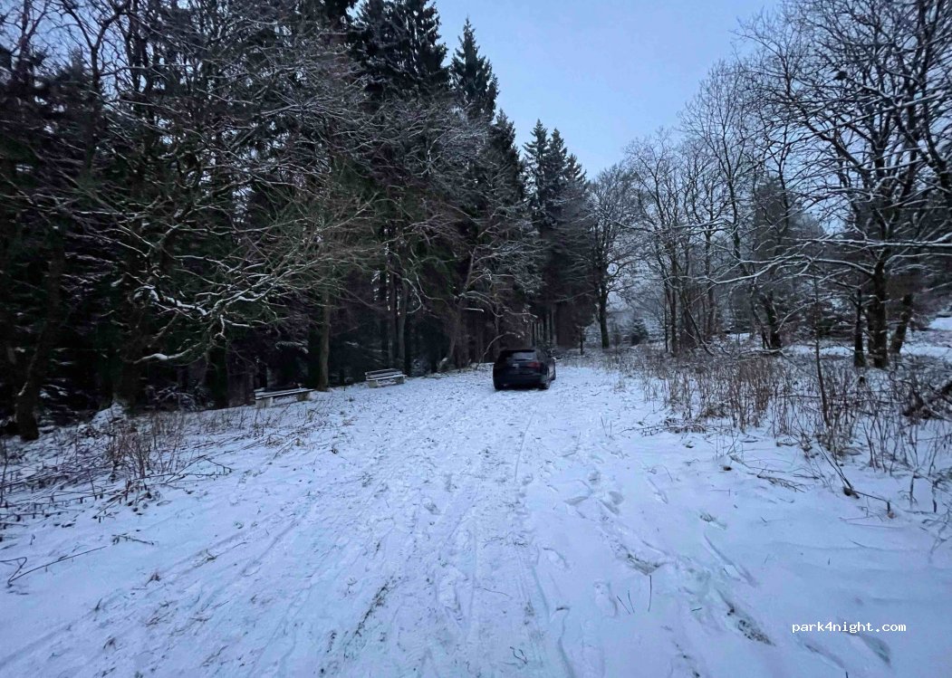 (59955) Winterberg - Astenweg — foto 4