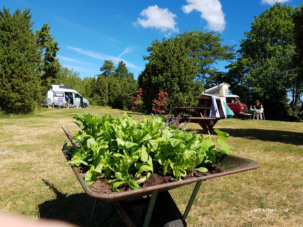 Kappelshamns Camping — foto 2