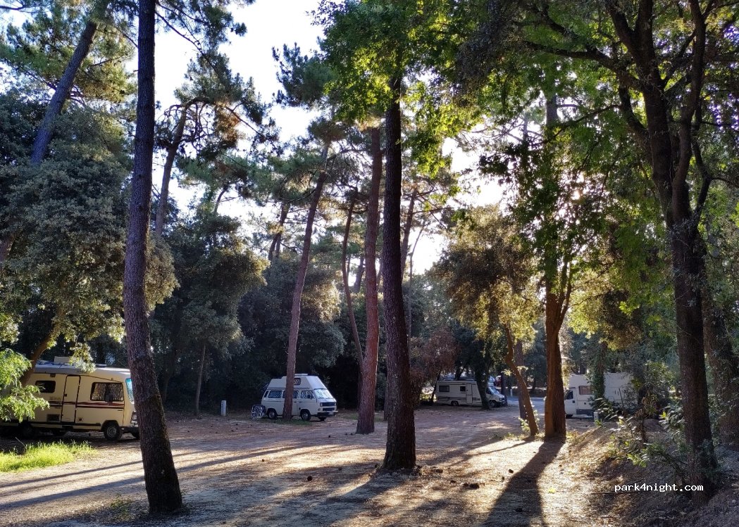 (17370) Le Grand-Village-Plage - 6 Allée des Pins — foto