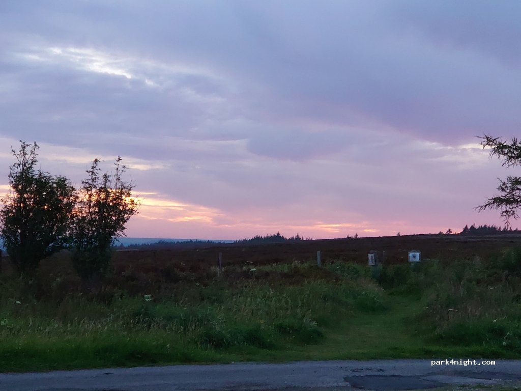 (YO62 5HL)  - Baxton's Sprunt — foto