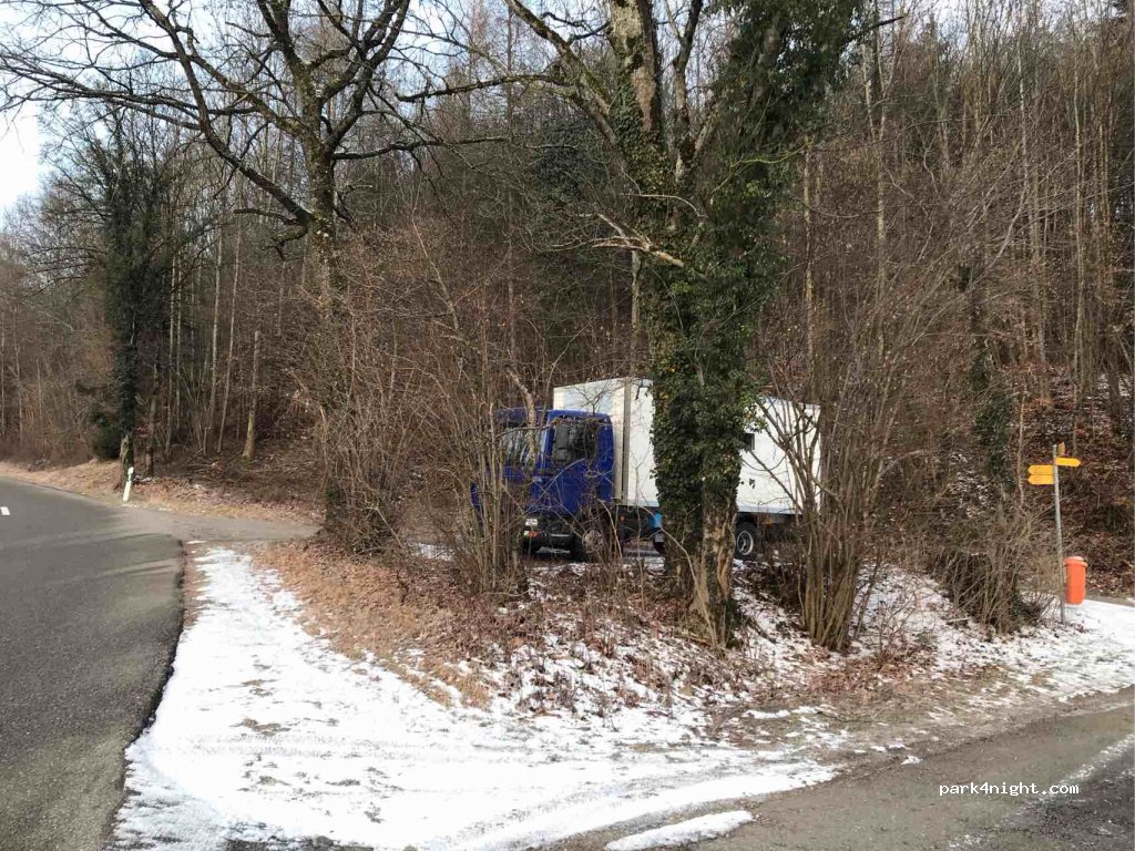 (8353) Elgg - Kollbrunnerstrasse — foto 2