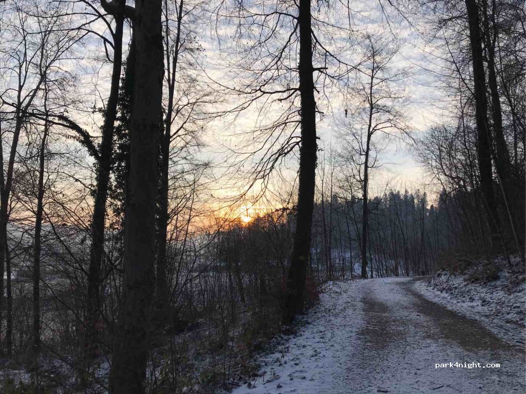 (8353) Elgg - Kollbrunnerstrasse — foto 3