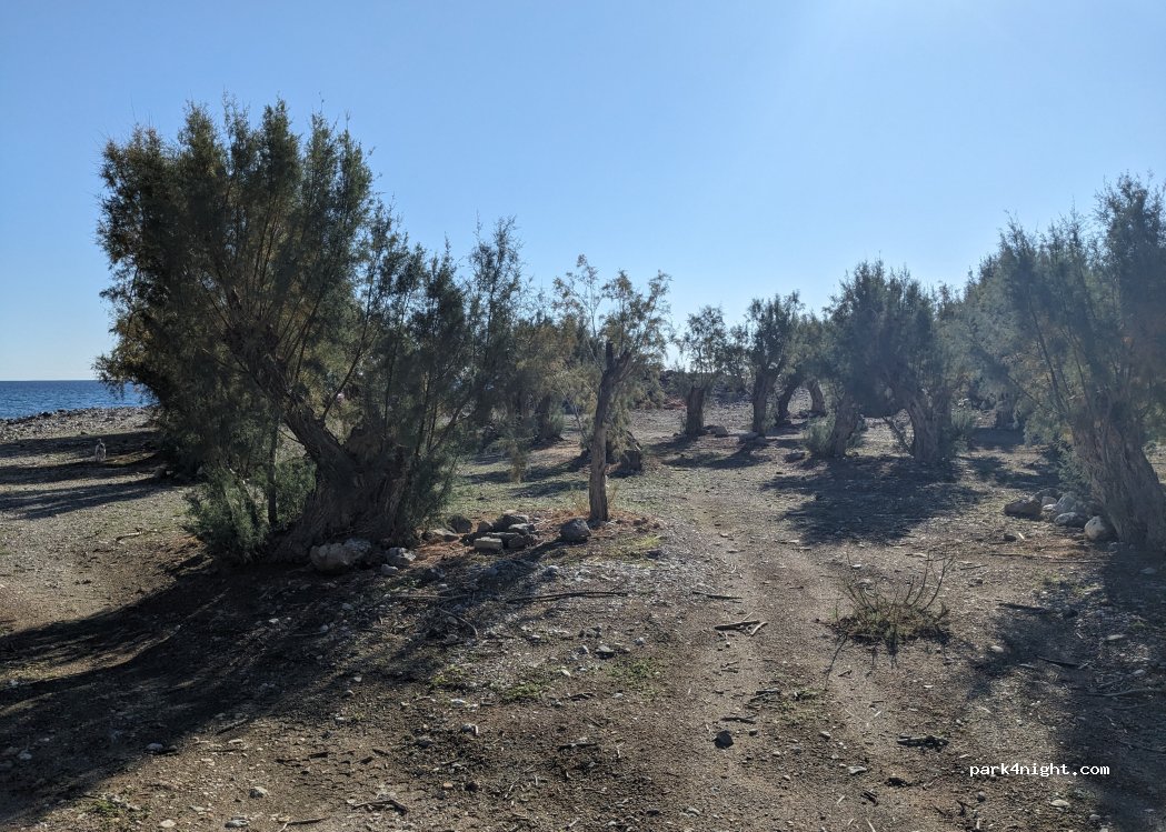 (720 59)  - Unnamed Road — foto 2
