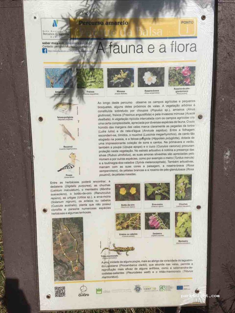 (3800) Eixo - 2 Rua do Doutor Reis Lima — foto 4