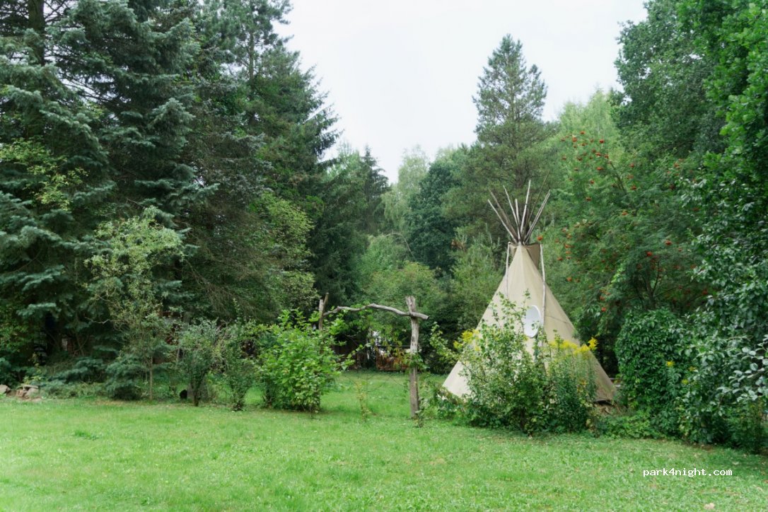 Waldcamping Thalheim — foto 3