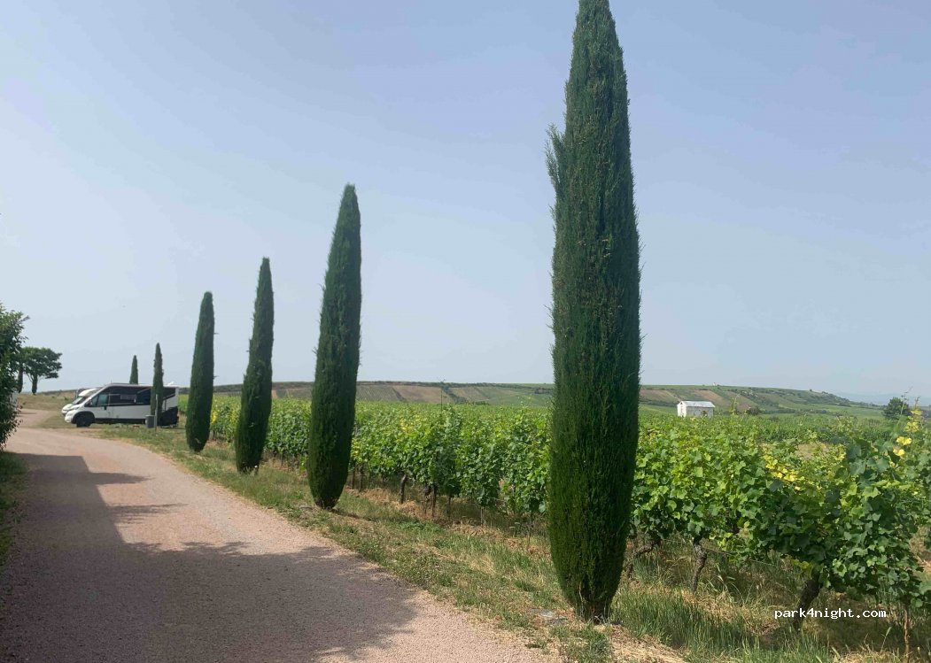 Reisemobilstellplatz Weingut Gehring — foto 2