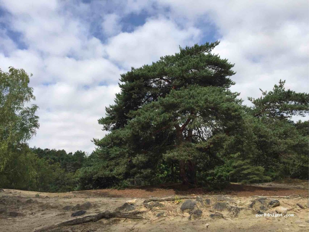 (91580) Étréchy - Unnamed Road — foto
