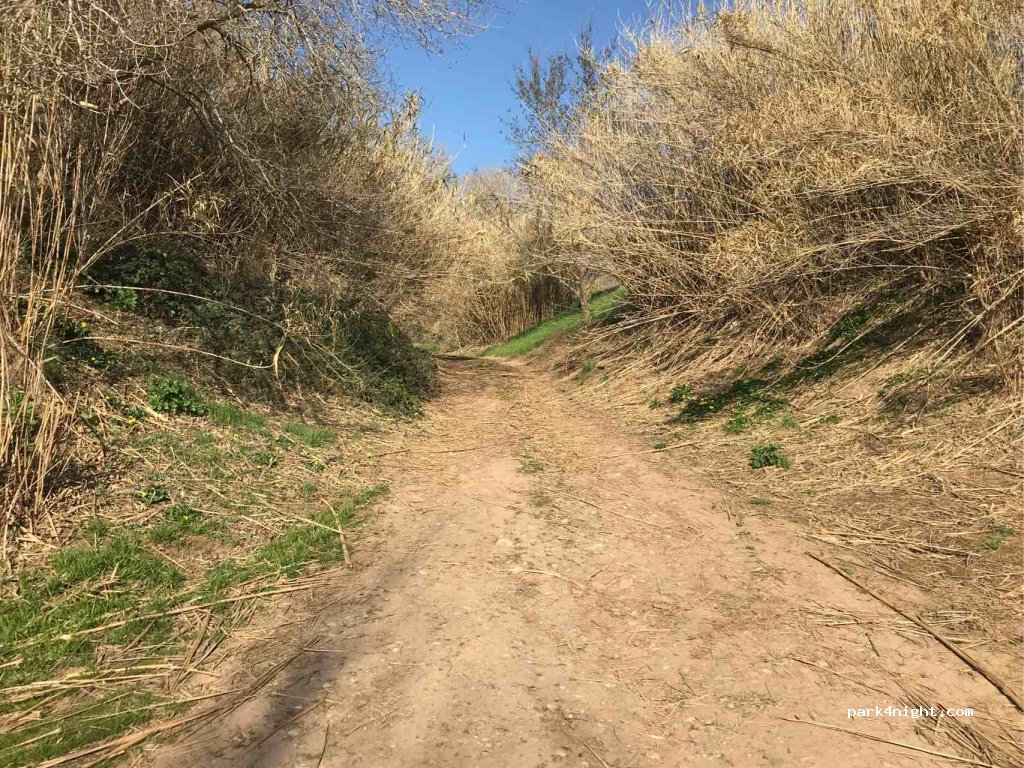 (34800) Canet - Unnamed Road — foto 2