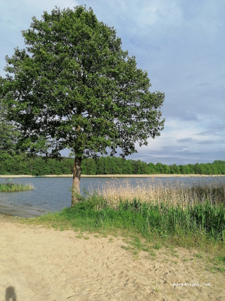 (13)  - Unnamed Road — foto