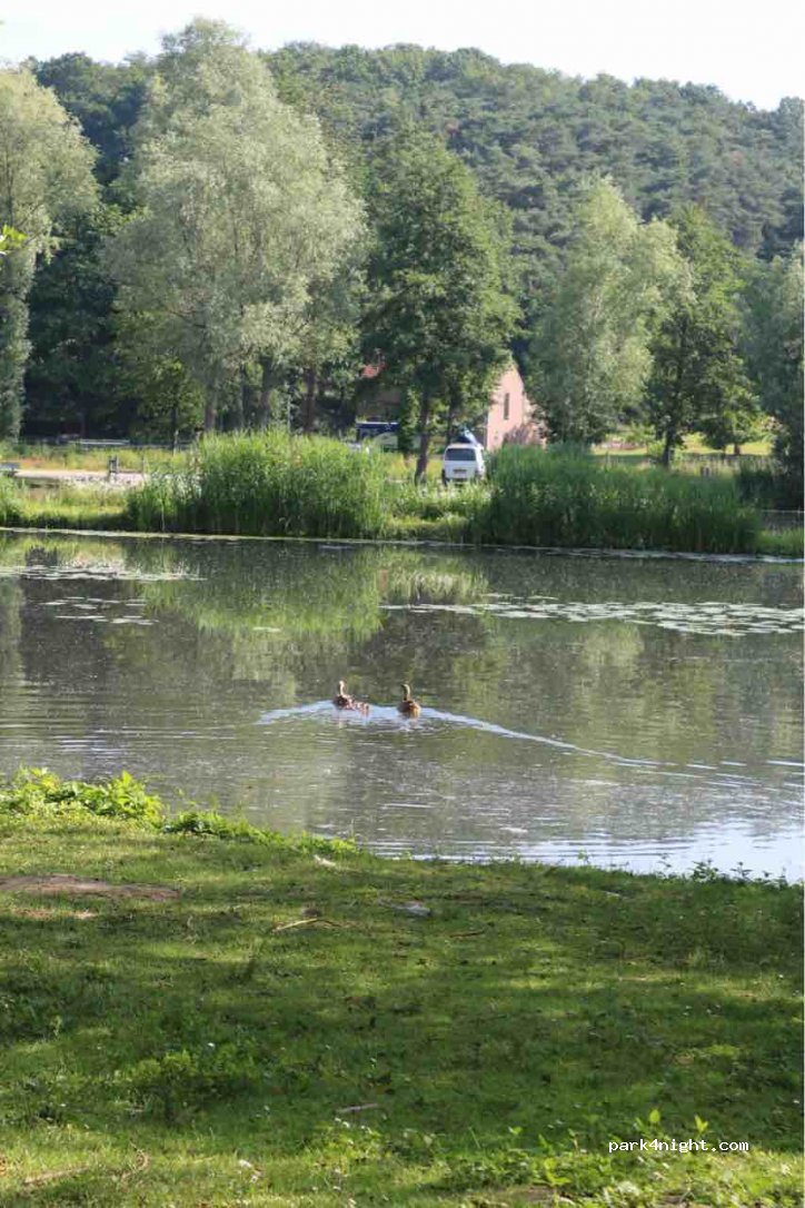 (6365 AE) Schinnen - 17 Thullerkerkweg — foto 2