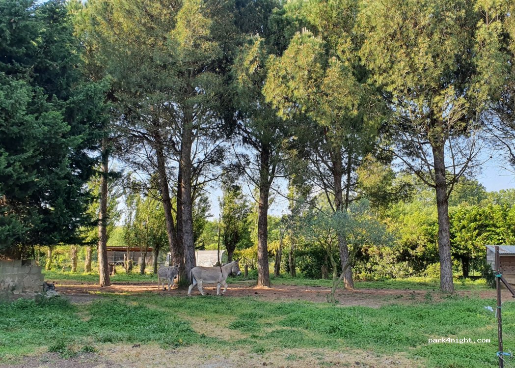 Domaine des Pères — foto 2