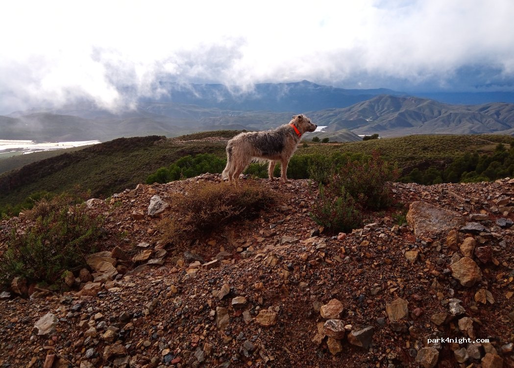 (04769) Berja - Unnamed Road — foto 5