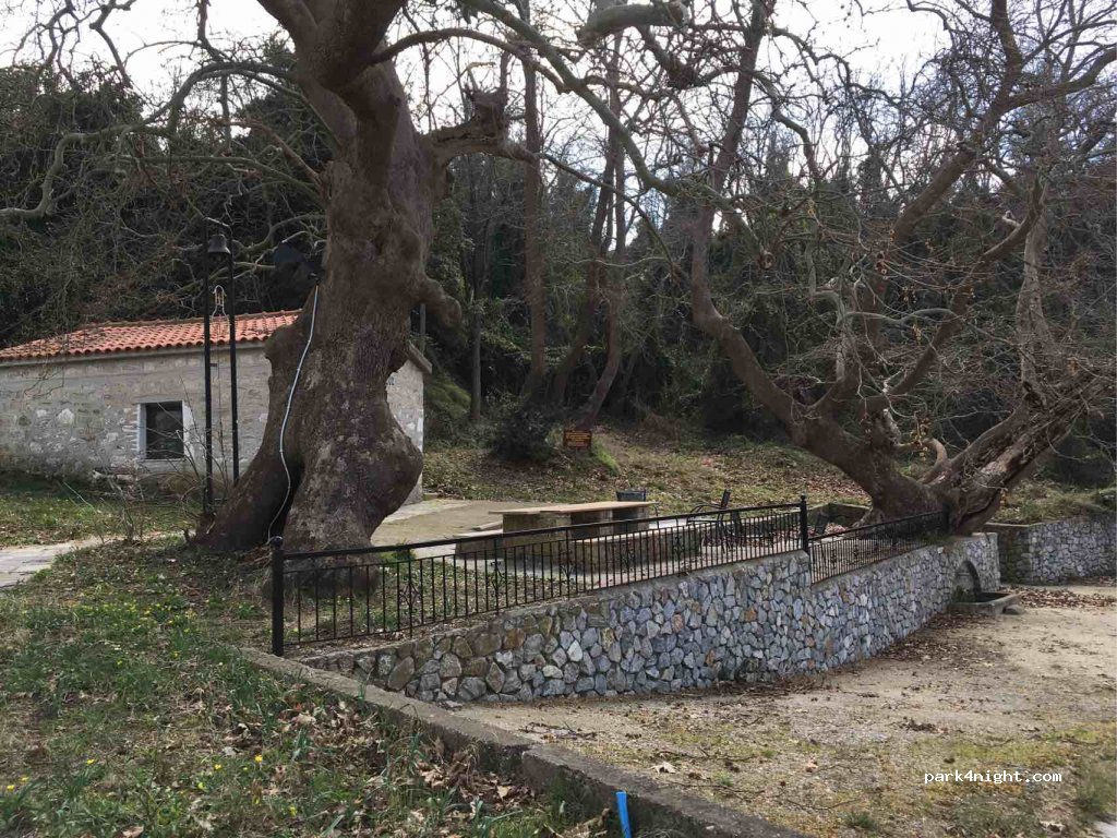 (630 85) Paliouri - Eparchiaki Odos Paliouriou-Afitou — foto