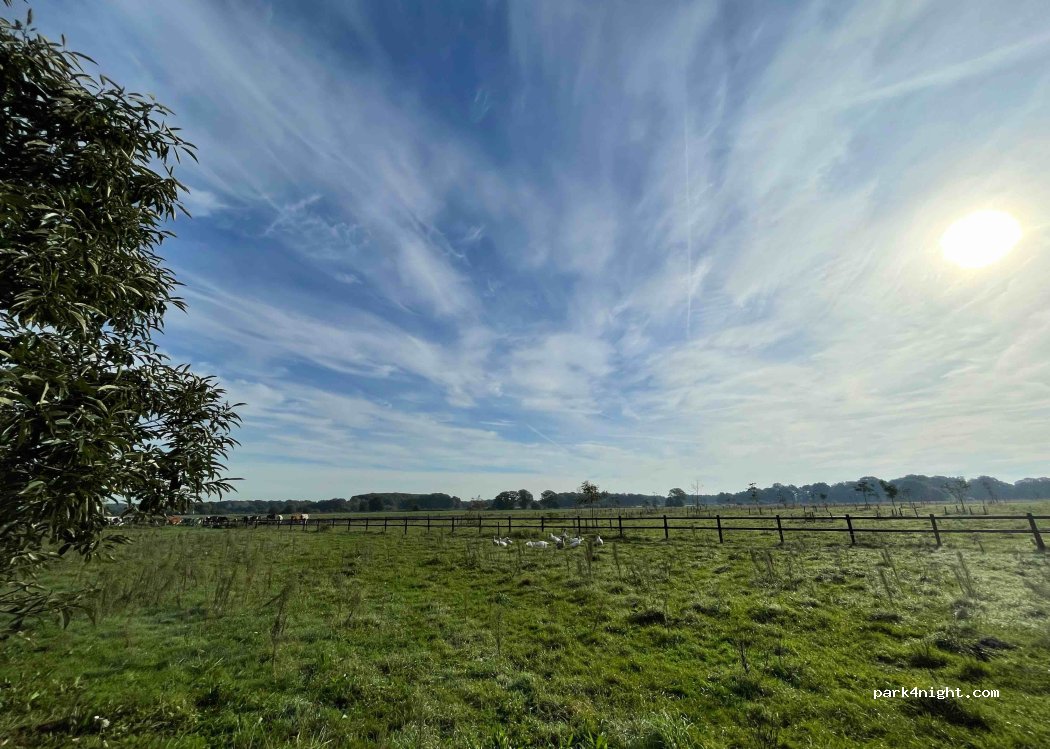 De Regte Heijden — foto 3
