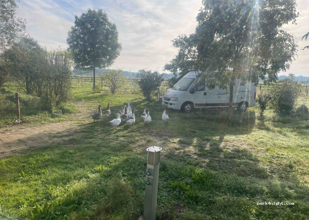 De Regte Heijden — foto 4