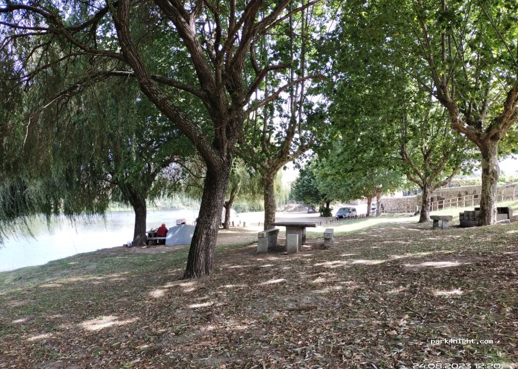 (4950) Lapela - Rua do Rio Minho — foto 3