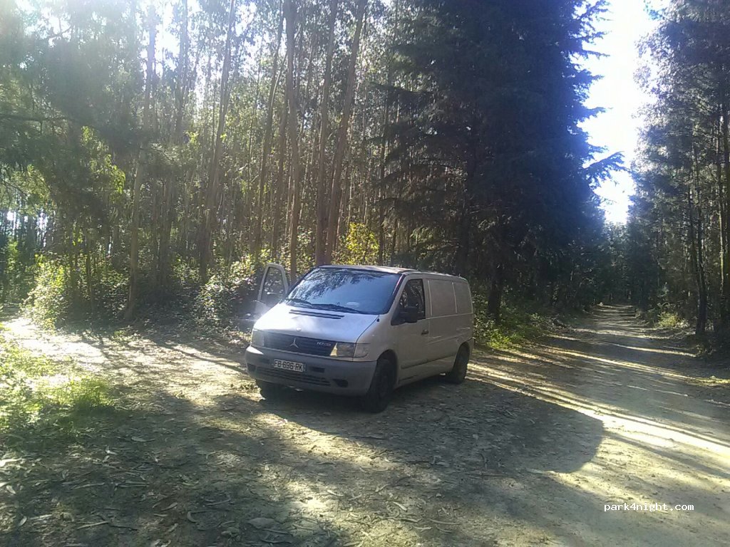 (3720-411) Palmaz - Rua dos 22 — foto