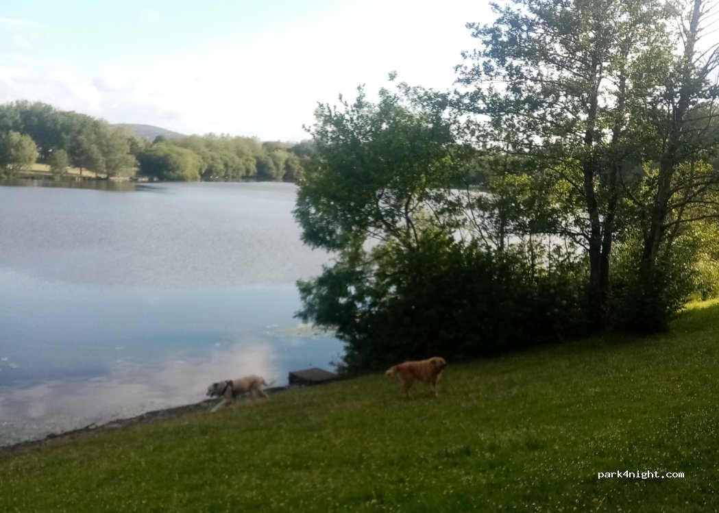 (SA6 8RN) Llansamlet - Valley Way — foto 2