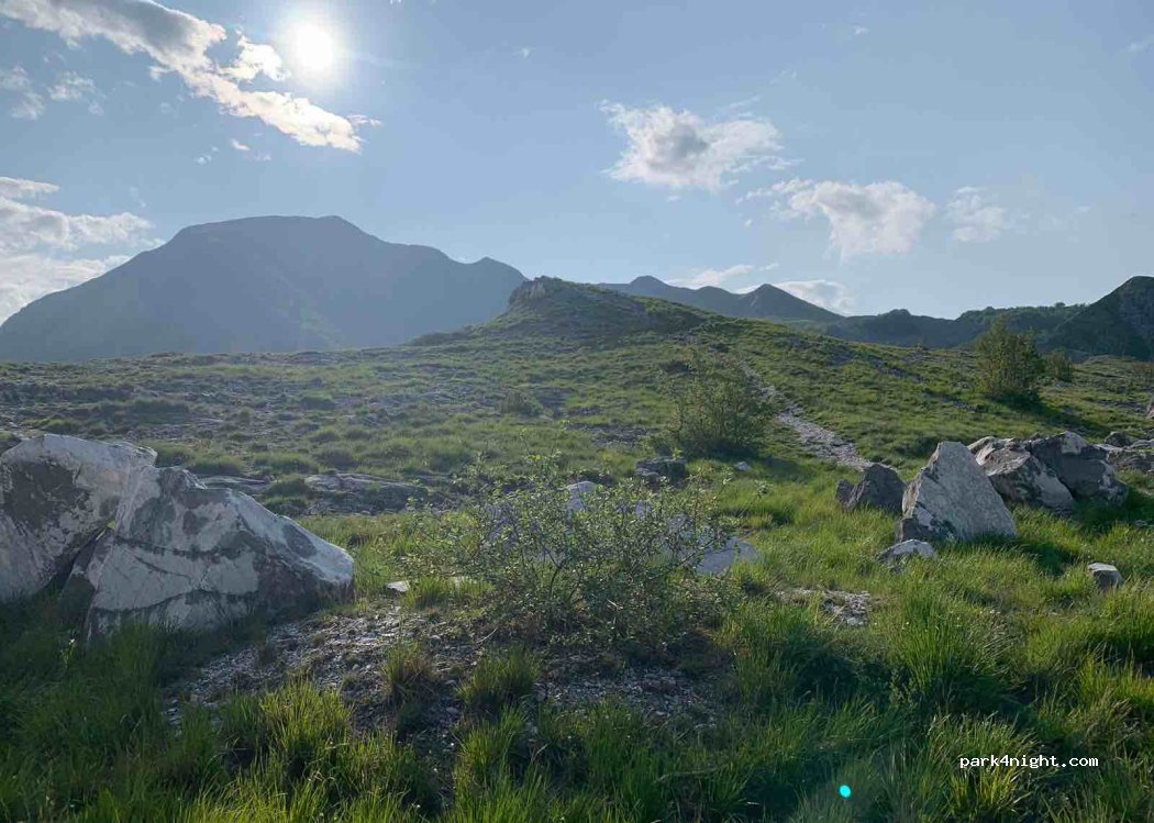 (54033) Carrara - 182 Strada Provinciale 59 — foto 3