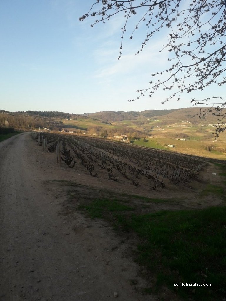 (69840) Chénas - Unnamed Road — foto 2
