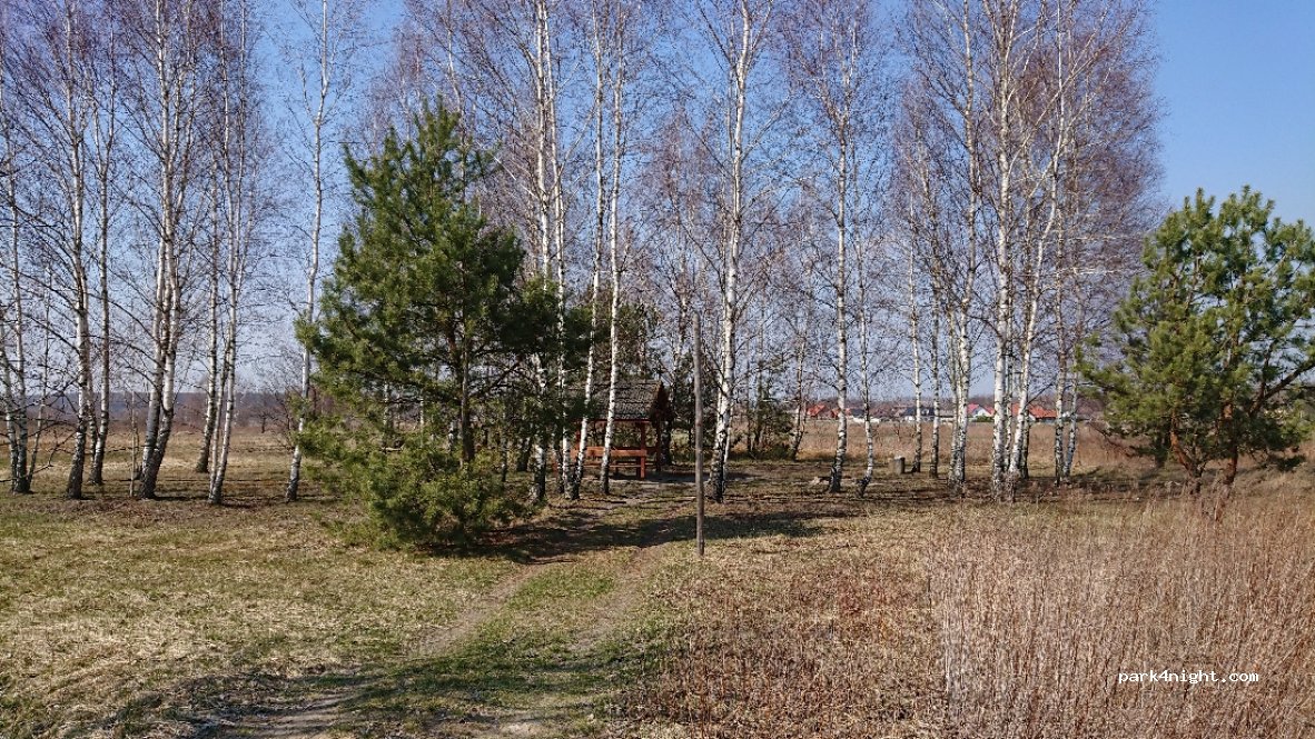 (37) Brzóza Królewska - Unnamed Road — foto
