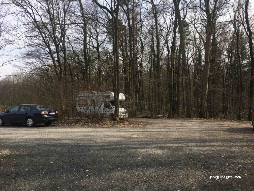 (96157) Ebrach - — foto 2