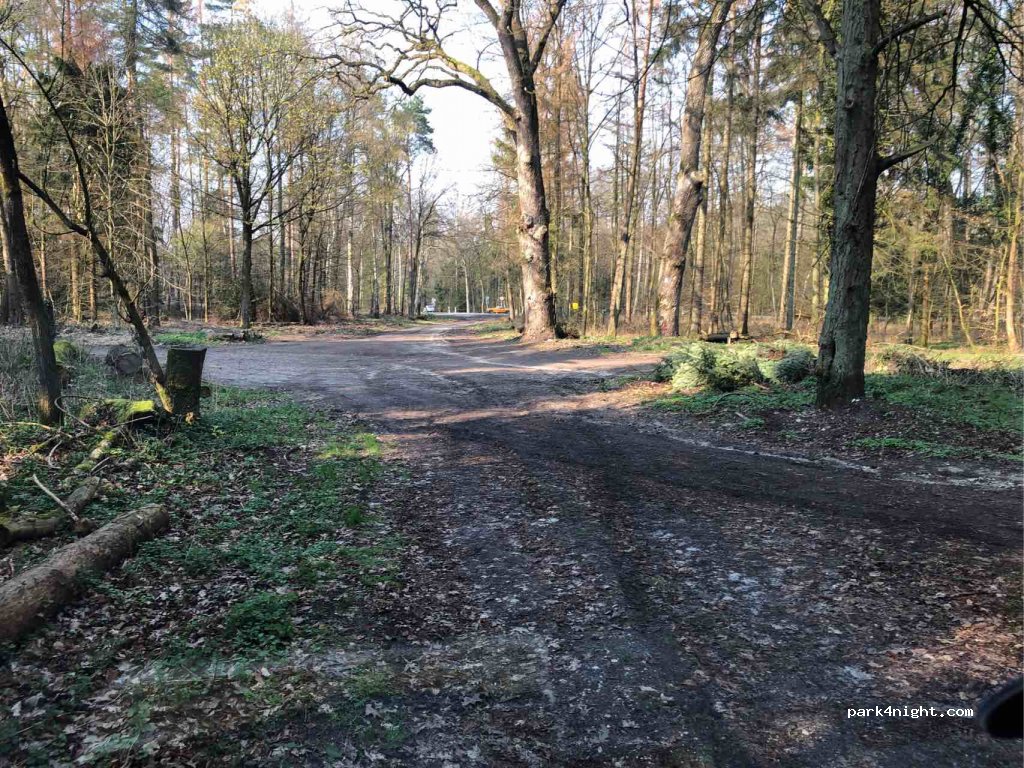 (32760) Detmold - Heidensche Trift — foto