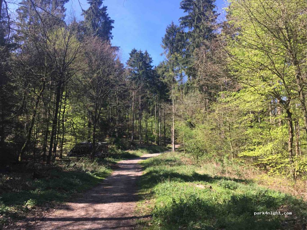 (32760) Detmold - Heidensche Trift — foto 3