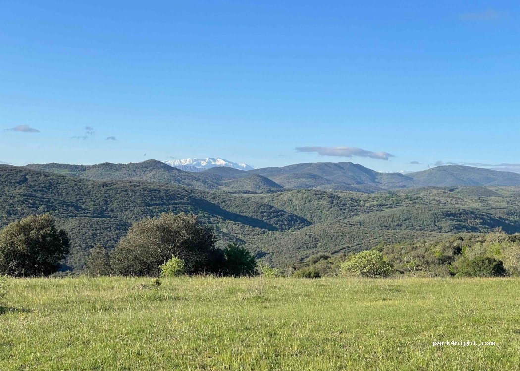 (11330) Termes - D40 — foto 4