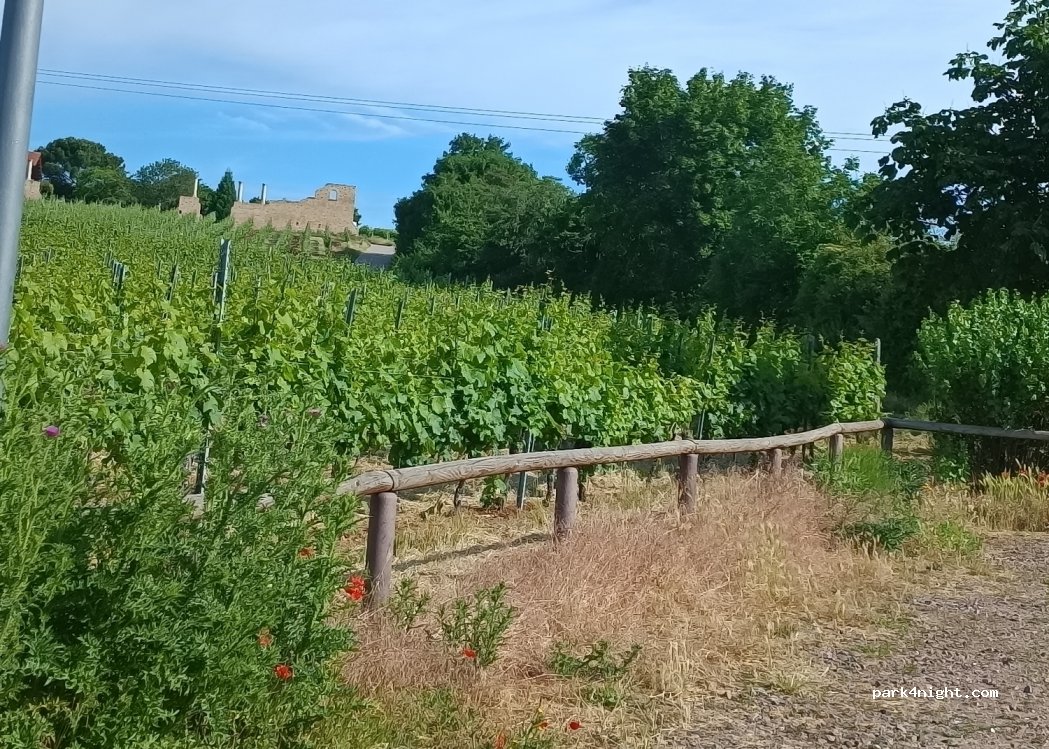 (67098) Bad Dürkheim - 101 Weinstraße — foto 2