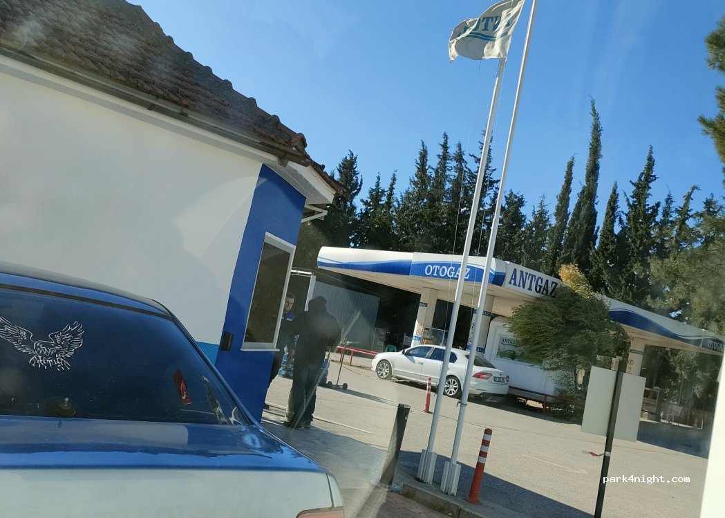(07025)  - Palmiye Caddesi — foto