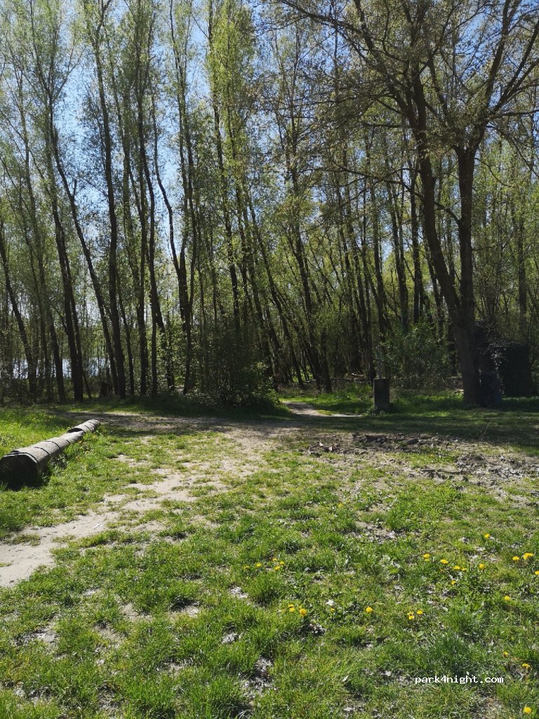 (4100) Ottensheim - Regattastraße — foto 2