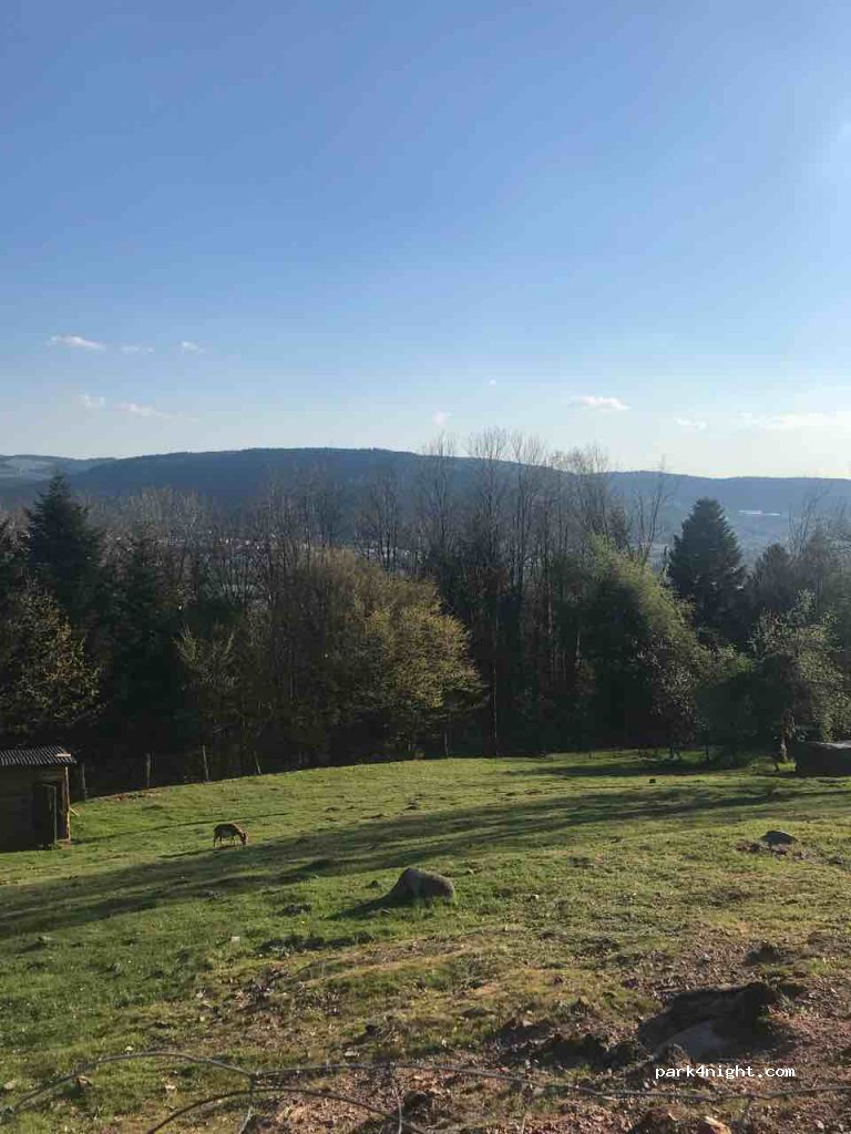 (88200) Saint-Étienne-lès-Remiremont - 643 Chemin du Trianon — foto