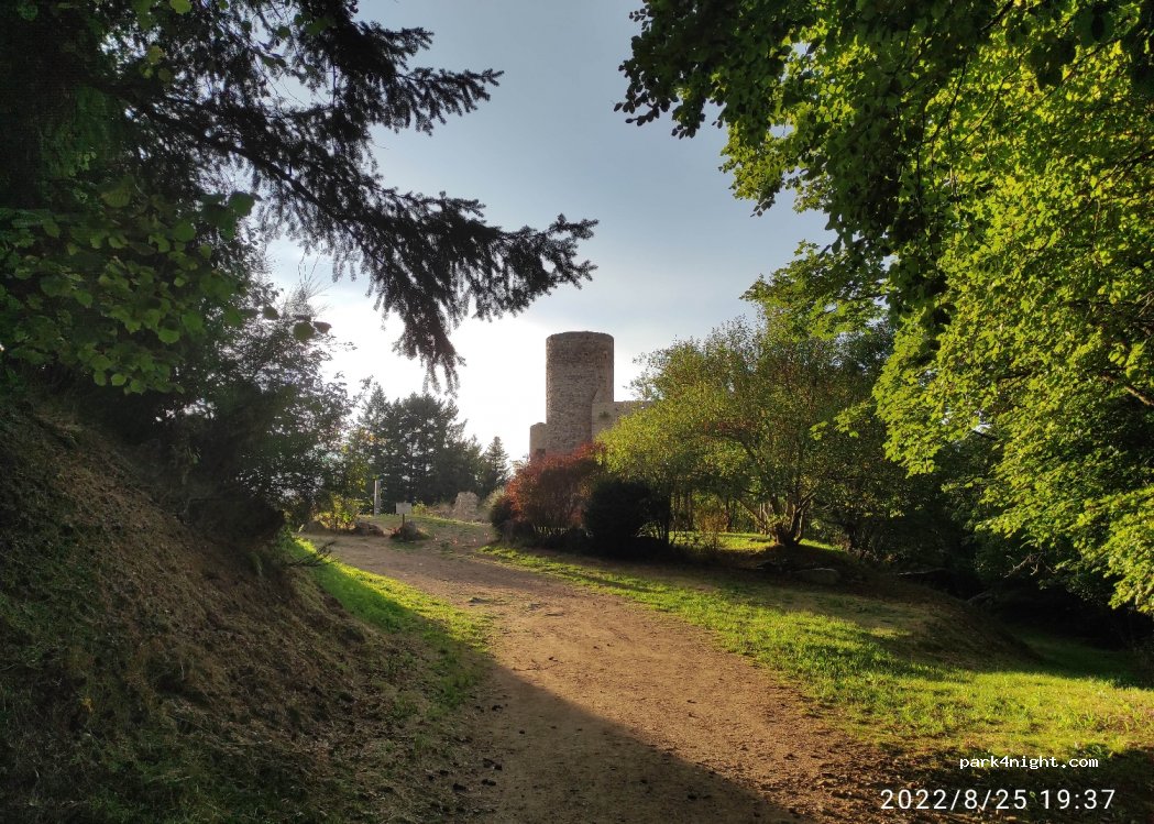 (42430) Champoly - Bois d'Urfé — foto 4