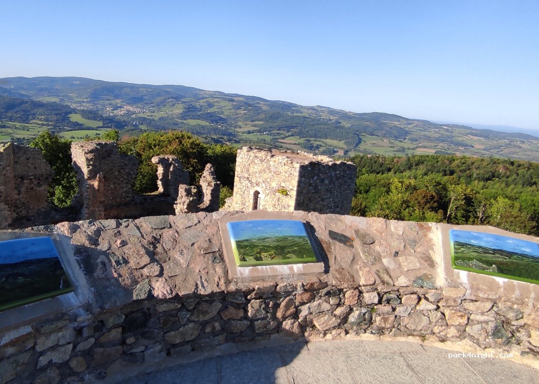 (42430) Champoly - Bois d'Urfé — foto 5