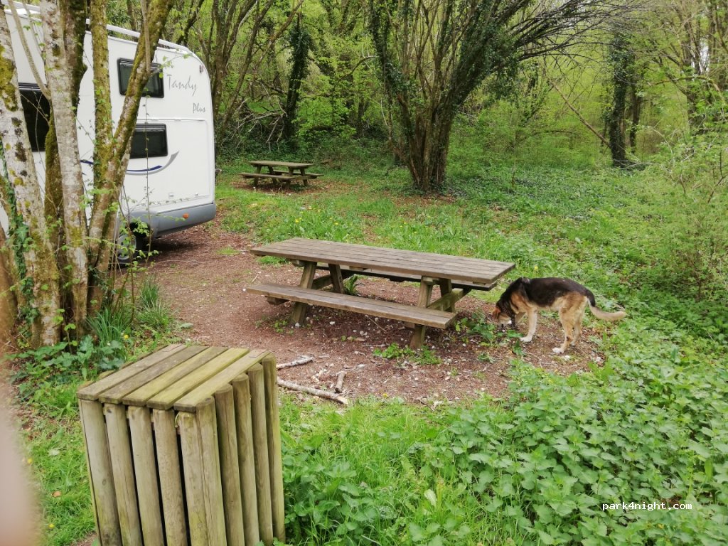 (16410) Sers - Route de Dignac — foto 3