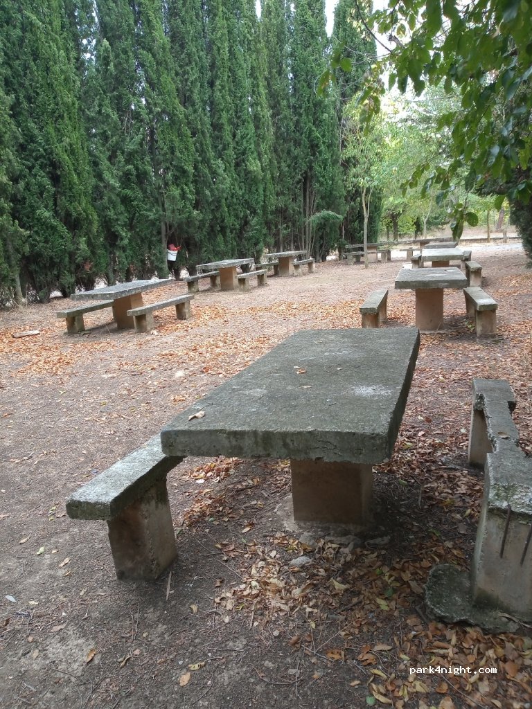 (31150) Larraga - NA-6031 — foto