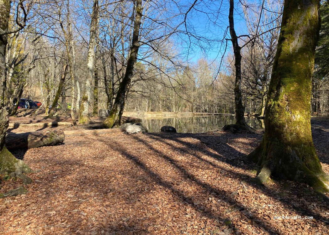 (1275) Chéserex - Route de la Dôle — foto