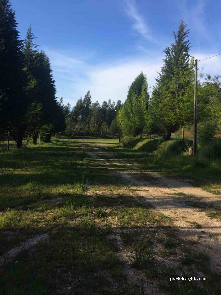 (3850) Albergaria-a-Velha - EM556 — foto