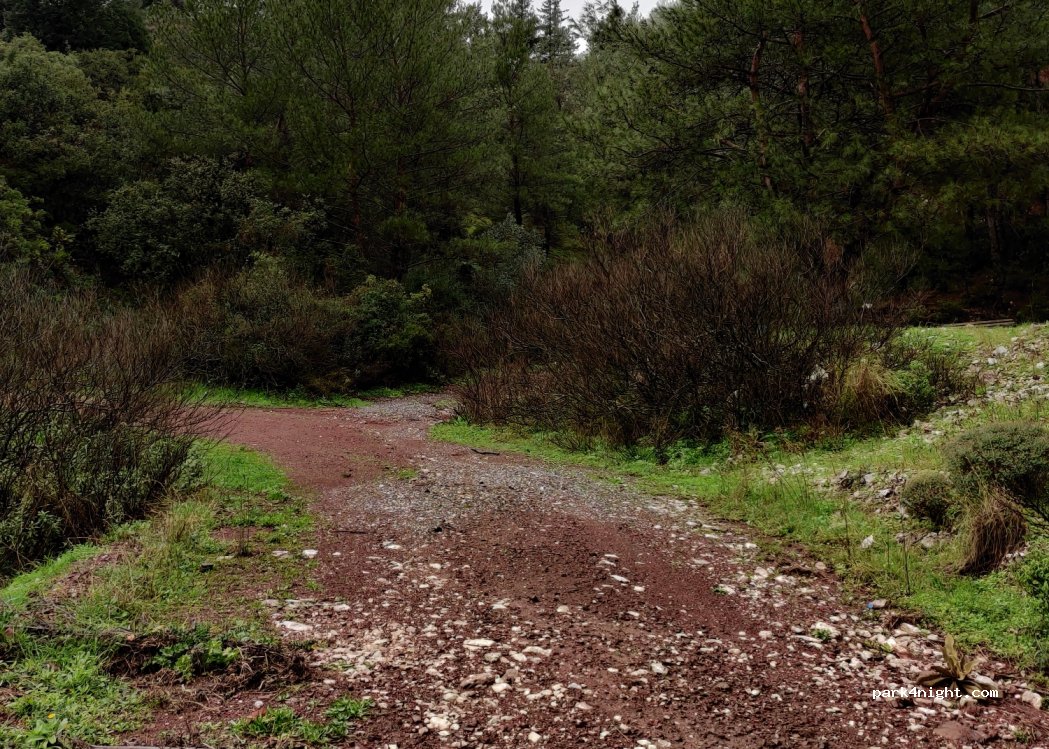 (48740) Muğla - Turunç Yolu — foto 2