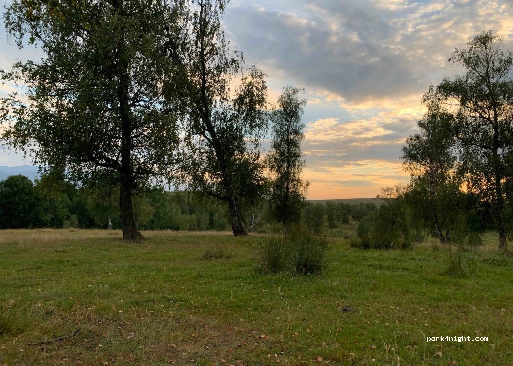 (507129) Toderița - Unnamed Road — foto 3