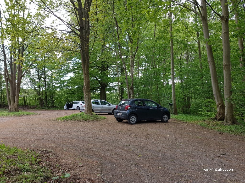 (4180) Sorø - 40 Ringstedvej — foto 3