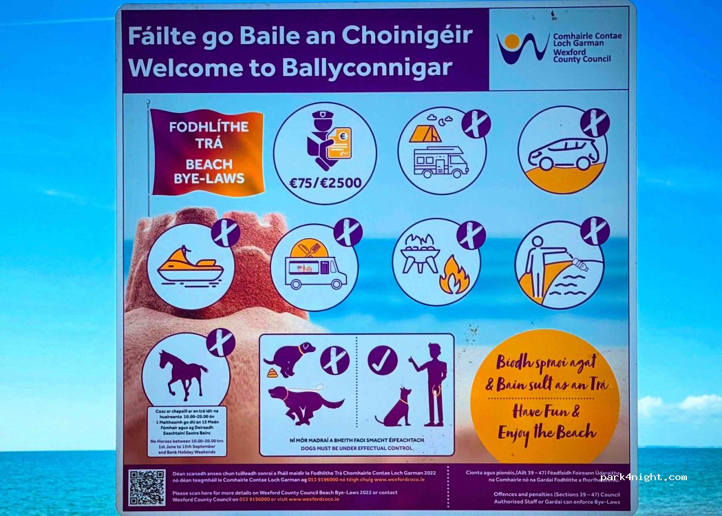 Ballyconnigar Lower Bay Beach — foto 4