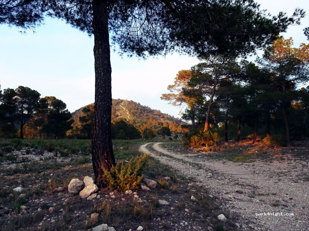 (30800) Lorca - Unnamed Road — foto 2
