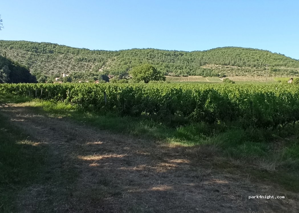 (46140) Luzech - Bois Petit — foto 3