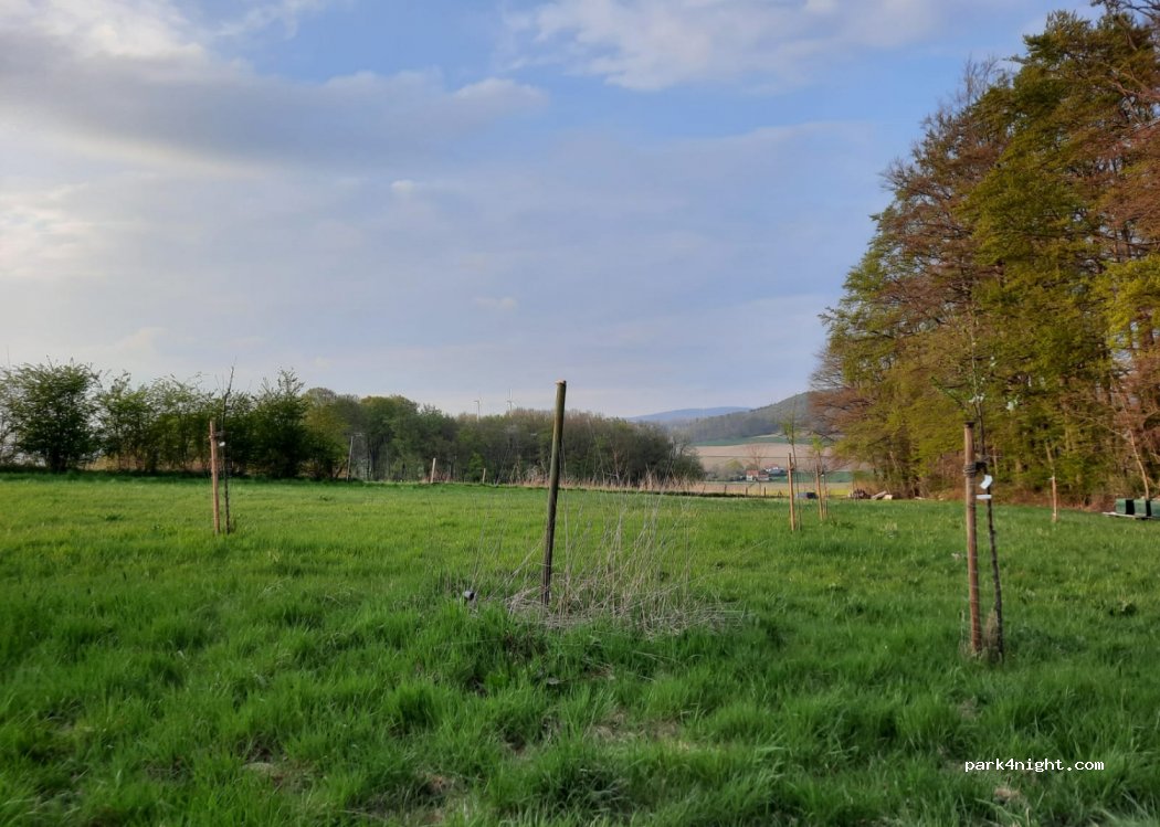 (32758) Detmold - 33 Kerkweg — foto 3