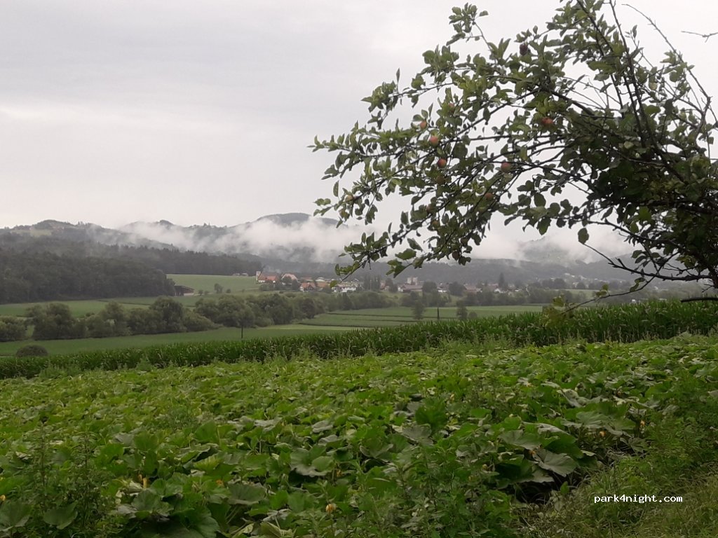 Winzerhof Camping Strablegg — foto 2