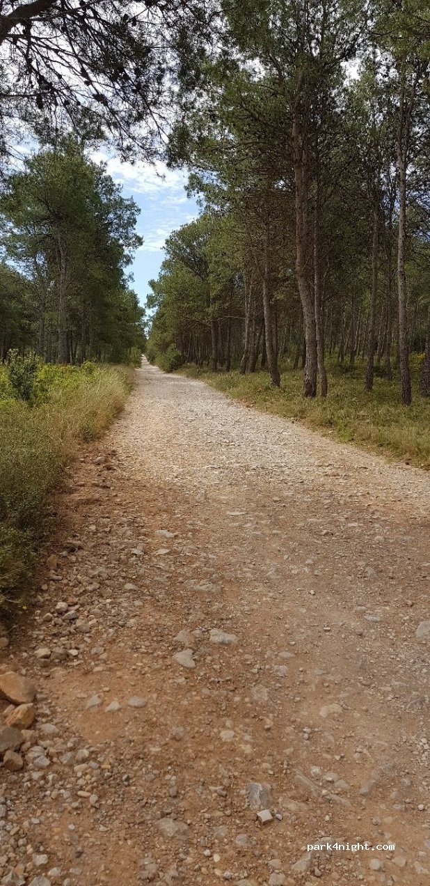 (17257) Torroella de Montgrí - Carretera de l'Escala a l'Estartit — foto